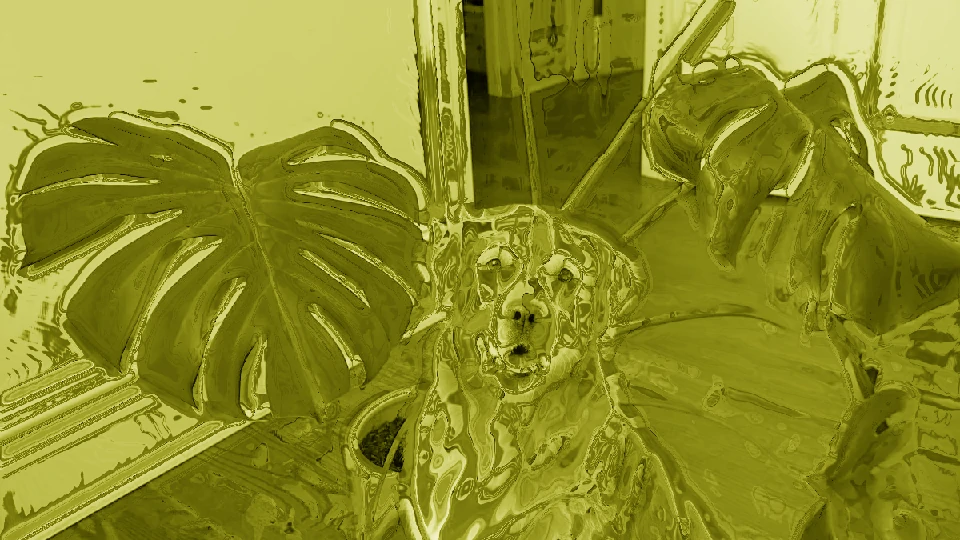 A dog photo with the matcha filter — a golden retriever washed into a milky green latte